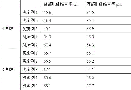 Letinous edodes residue fermented feed and breeding method for raising meat quality of genetically improved farmed tilapia