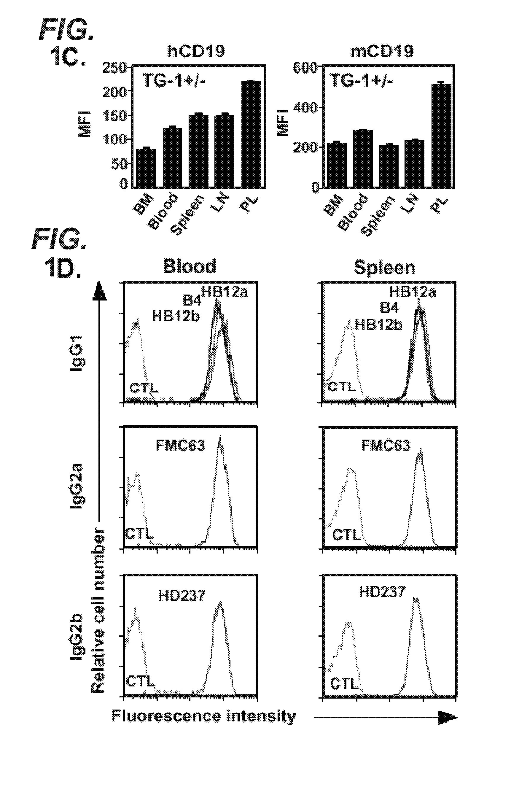 Anti-cd19 antibodies and uses in b cell disorders