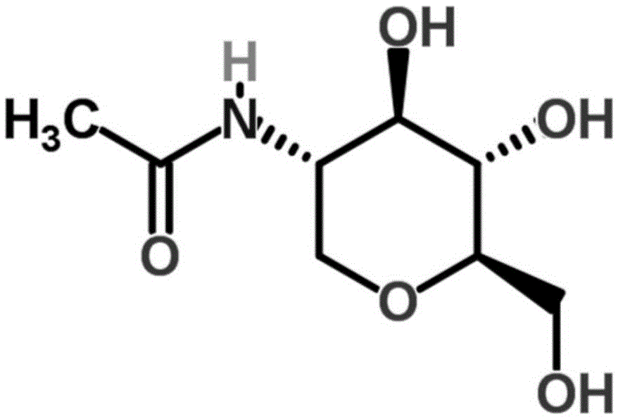 Application of 2-acetamido-1,5,-dehydrated-2-deoxy-D-glucitol to preparation of anti-rice-leaf-blight-bacterial-activity medicine