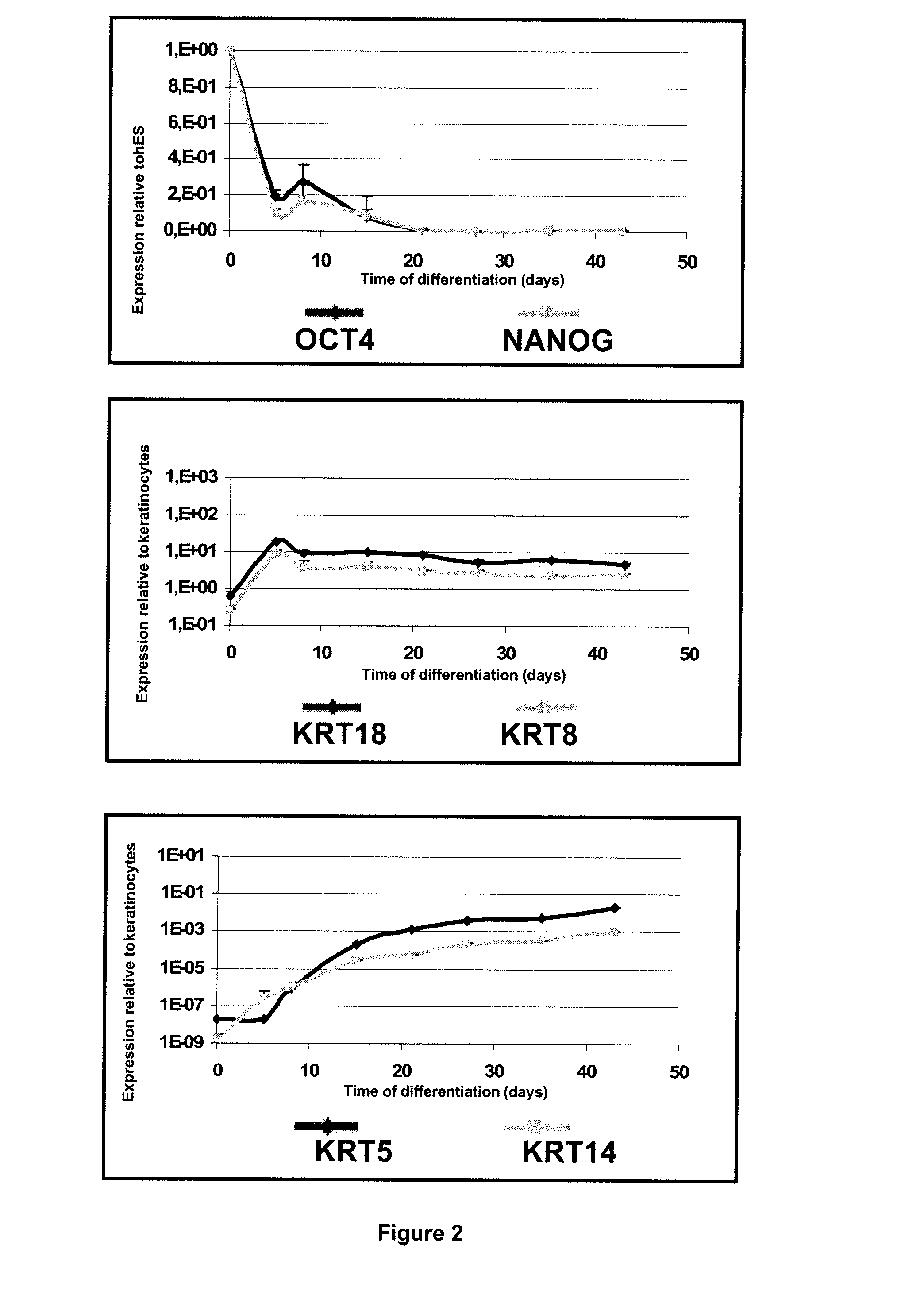 Methods for Preparing Human Skin Substitutes from Human Pluripotent Stem Cells