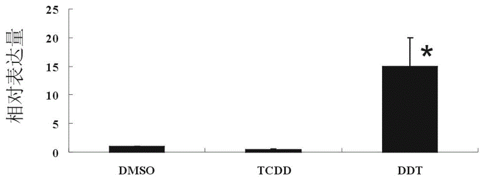 cyp5013c2 protein and its coding gene and Tetrahymena expressing cyp5013c2 protein