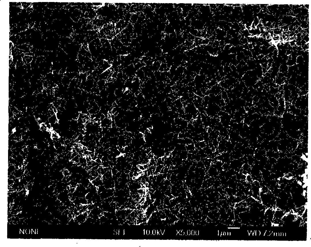 Composite electrode and method for preparing high purity polyaniline nanometer line