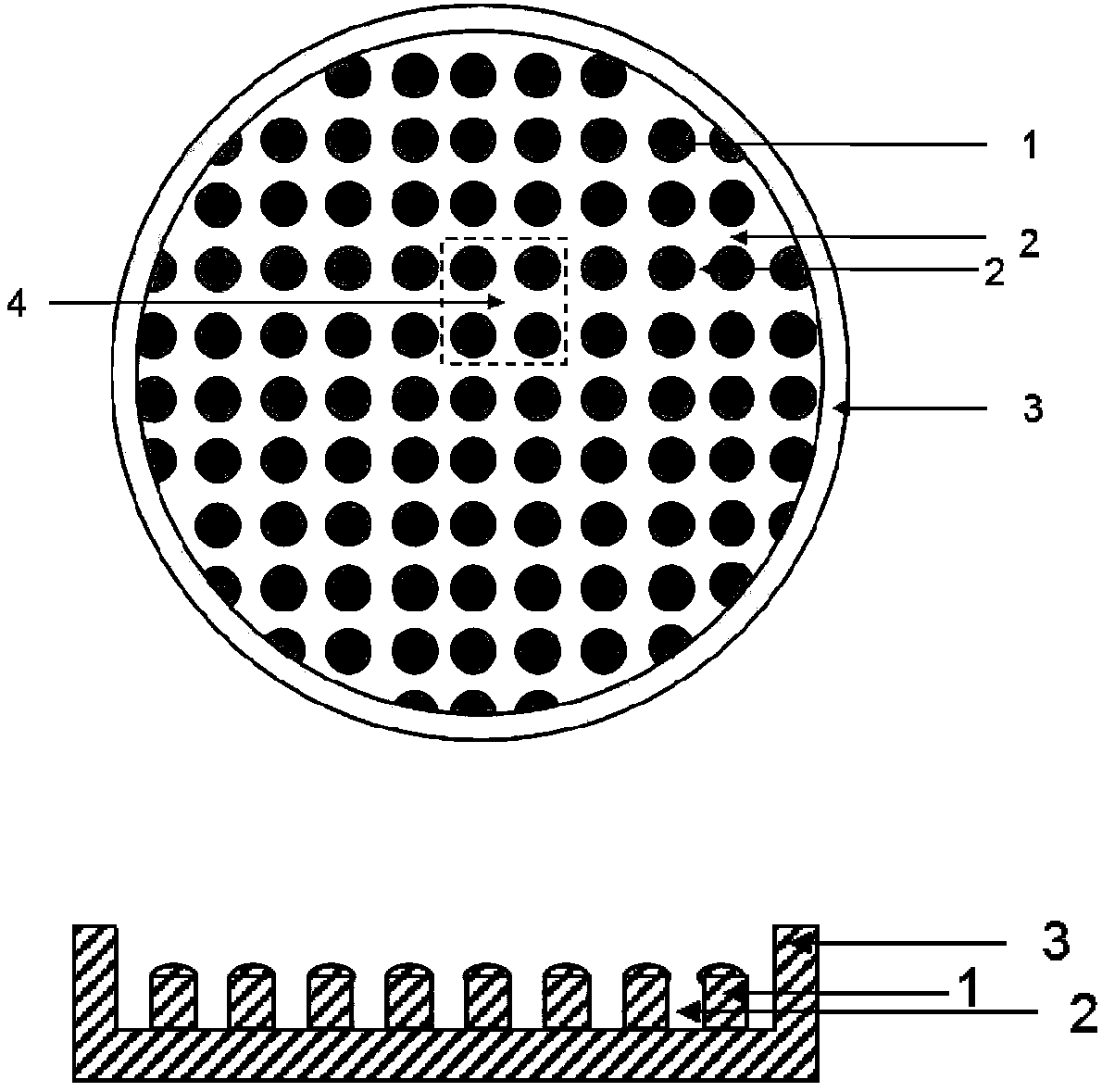 Microarray chip preparation method, and applications of microarray chip in stem cell type brain development