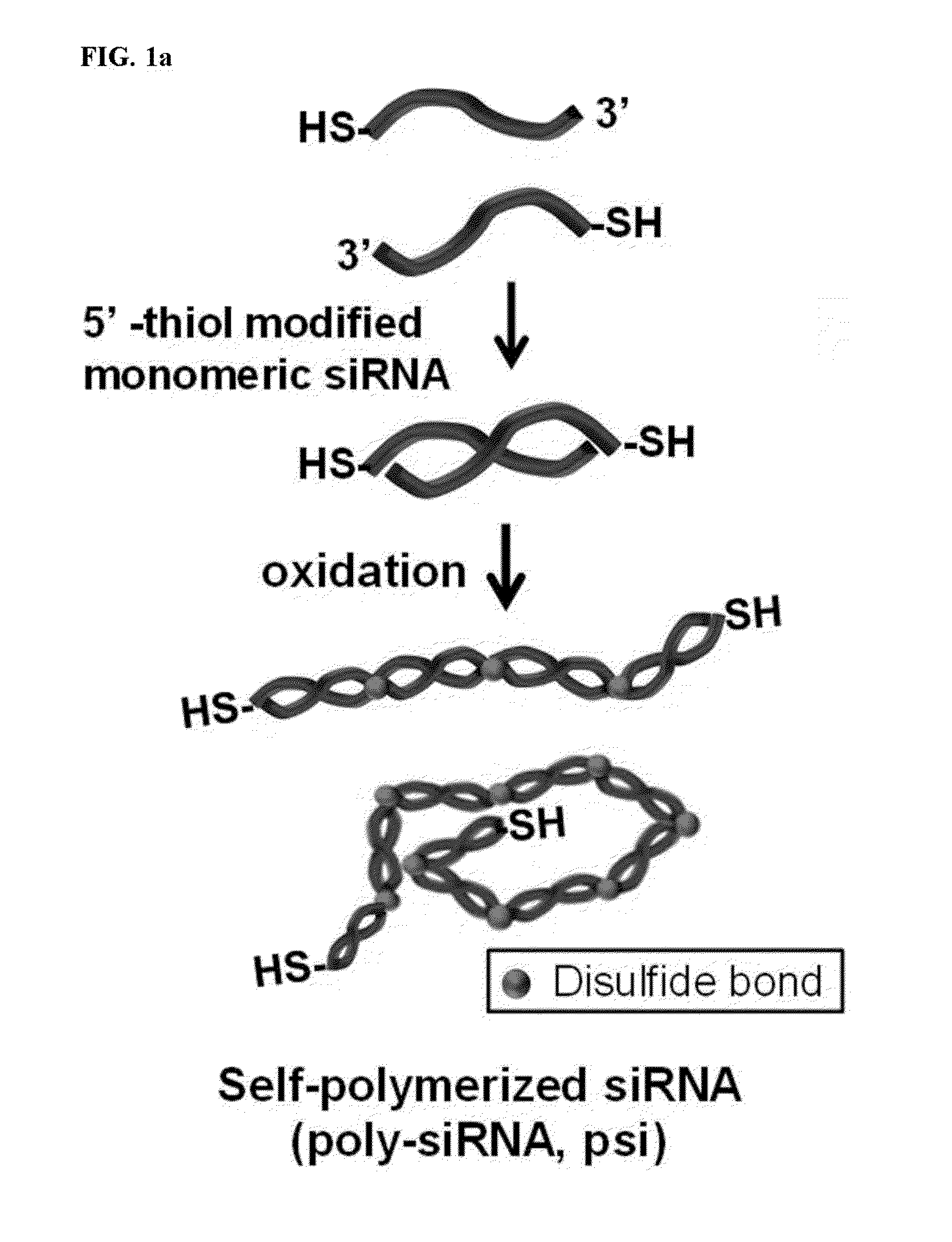 Gelatin-based nanoparticle complex for tumor-targeted delivery of siRNA and method for preparing the same