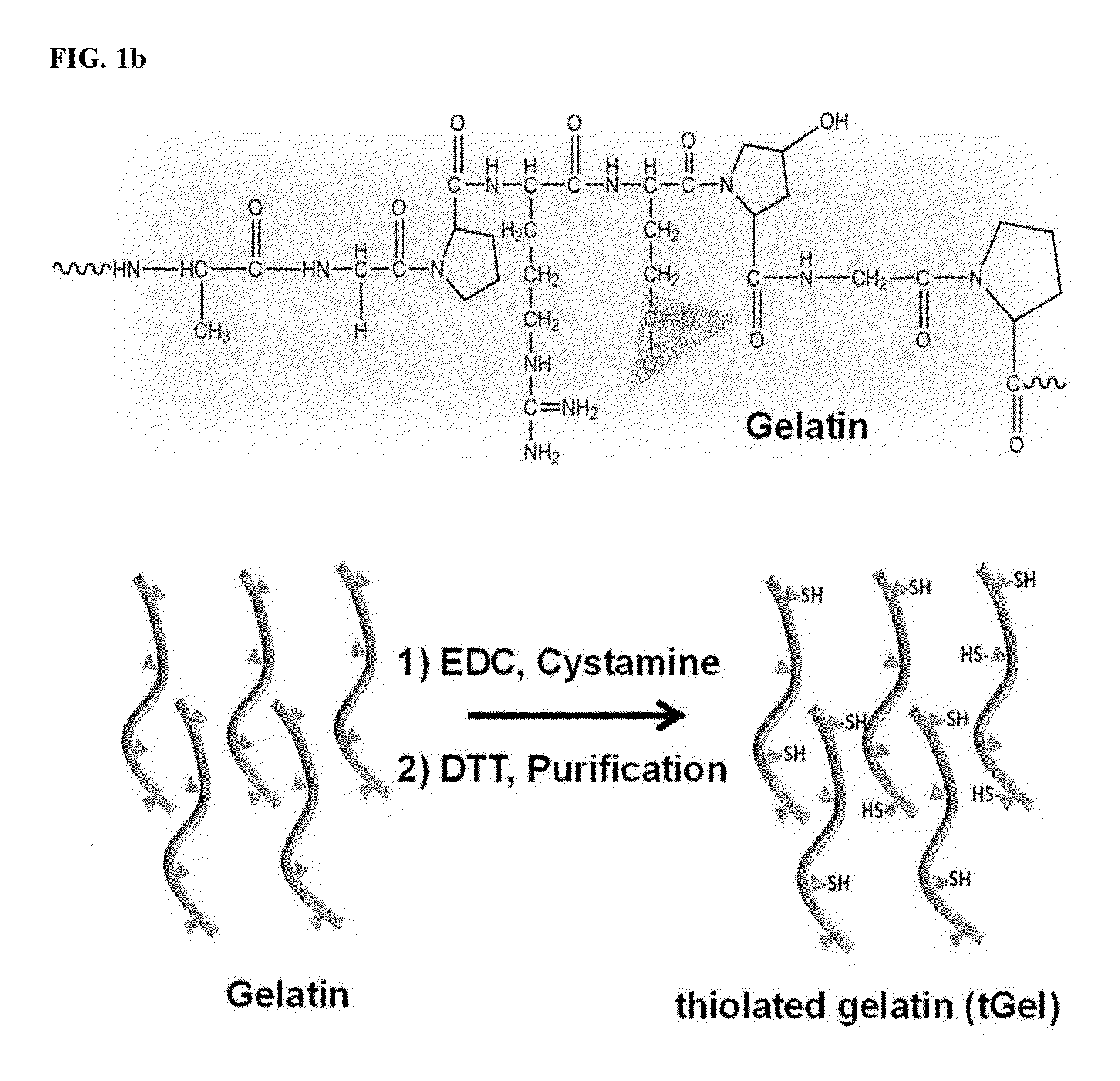 Gelatin-based nanoparticle complex for tumor-targeted delivery of siRNA and method for preparing the same