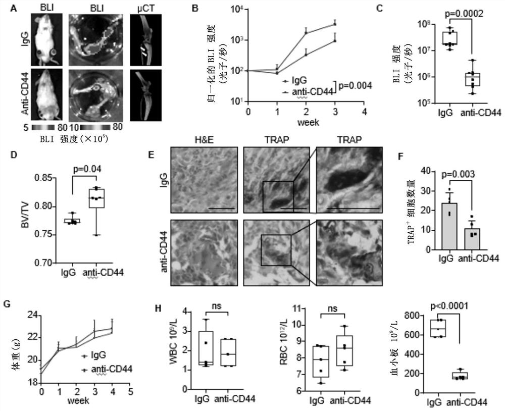 Method for treating giant cell tumor of bone