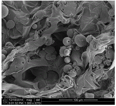 BMP-loaded silk fibroin/collagen scaffold material and preparation method thereof