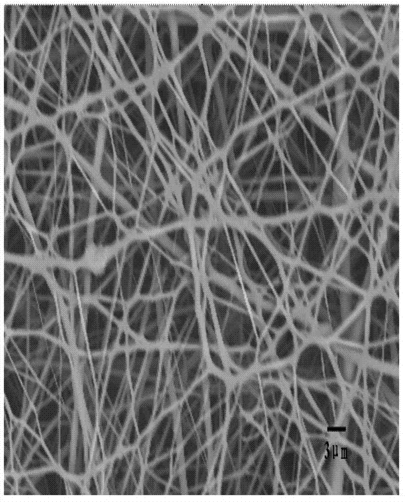 Method for preparing natural material inorganic nanoparticle composite nano-fiber through electrostatic spinning