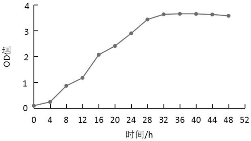 A kind of Lactobacillus acidophilus and its application in feed for weaned piglets