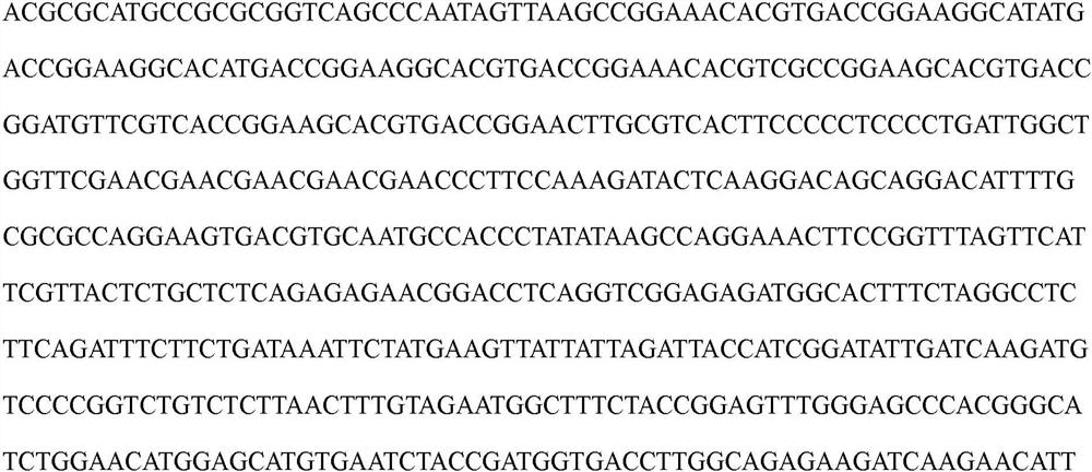 Duck-derived goose parvovirus artificial attenuated strain and application thereof