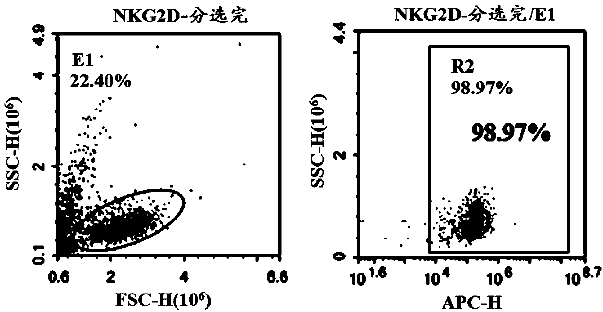 Chimeric antigen receptor, NKG2D CAR-NK cell expressing chimeric antigen receptor, preparation method and application thereof