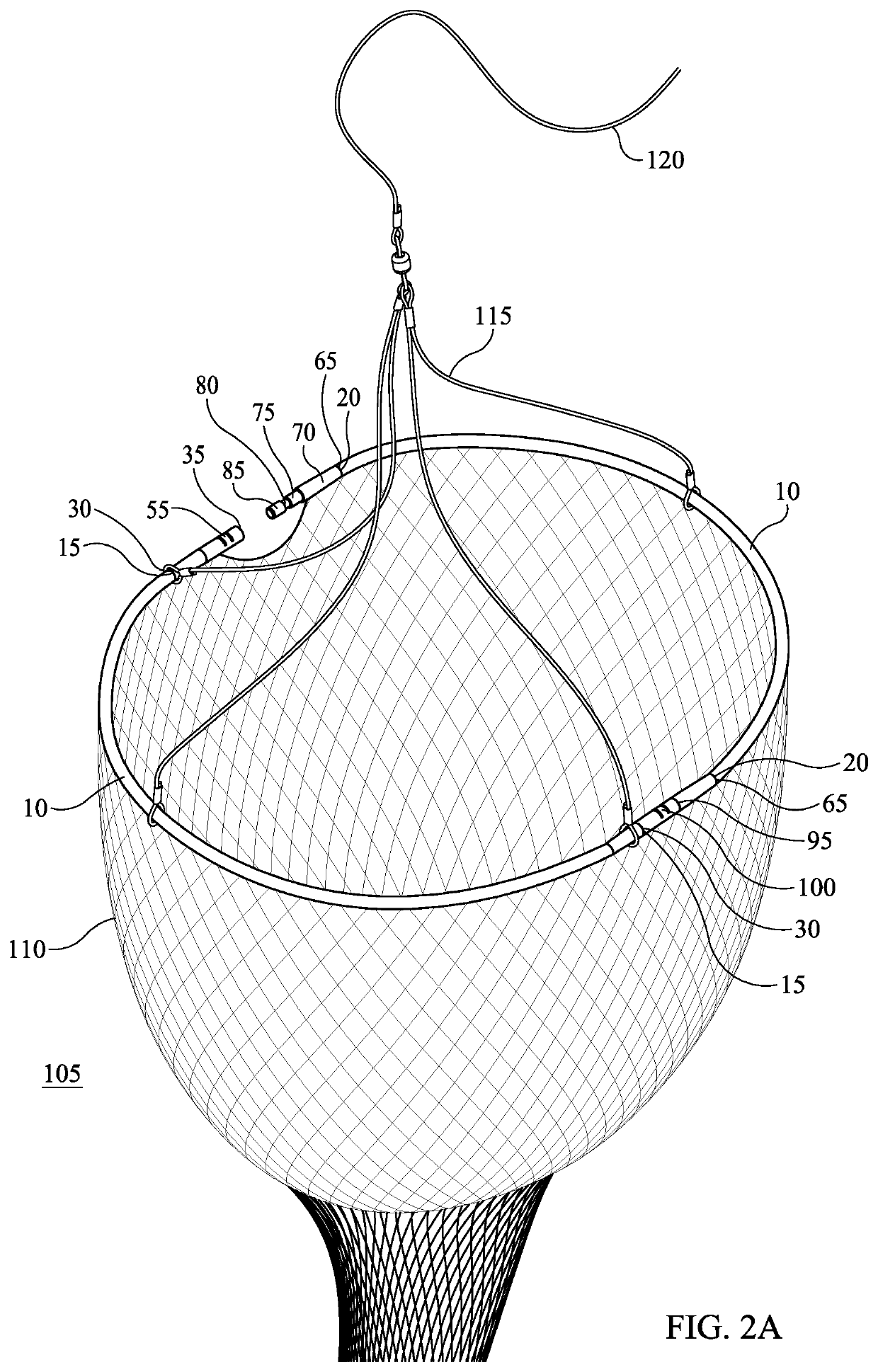 Collapsible bait net