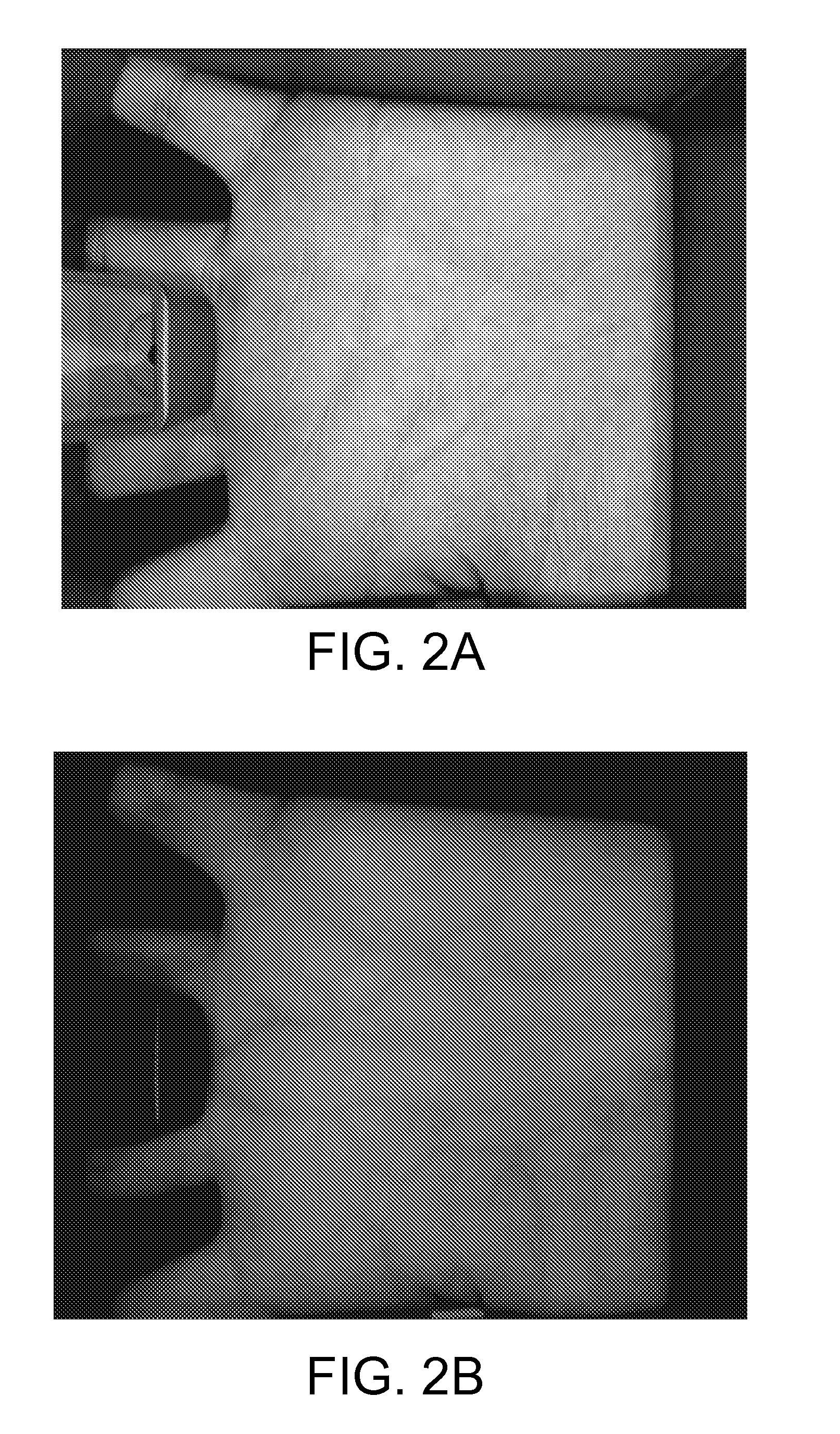 Method and Apparatus for Personal Identification Using Palmprint and Palm Vein