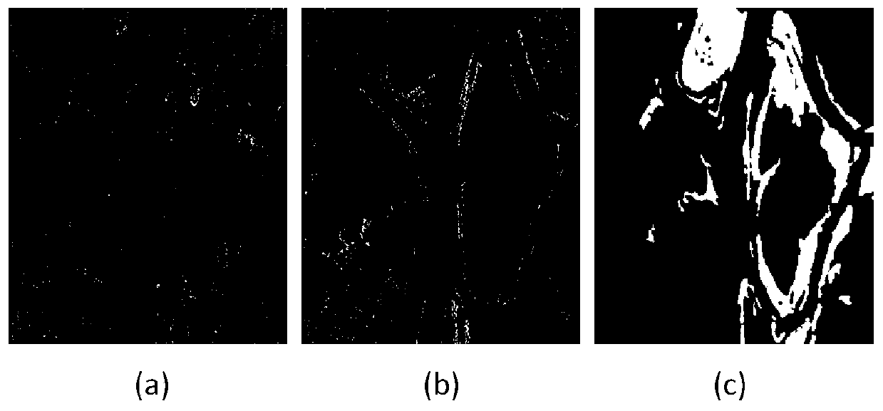 An SAR image change detection method based on difference image fusion and an improved level set