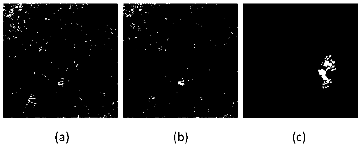 An SAR image change detection method based on difference image fusion and an improved level set
