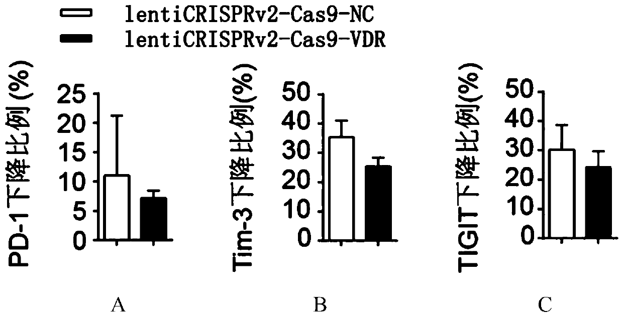 Application of vitamin D acceptor and ligand thereof to improvement of antitumor capacity of immunocyte