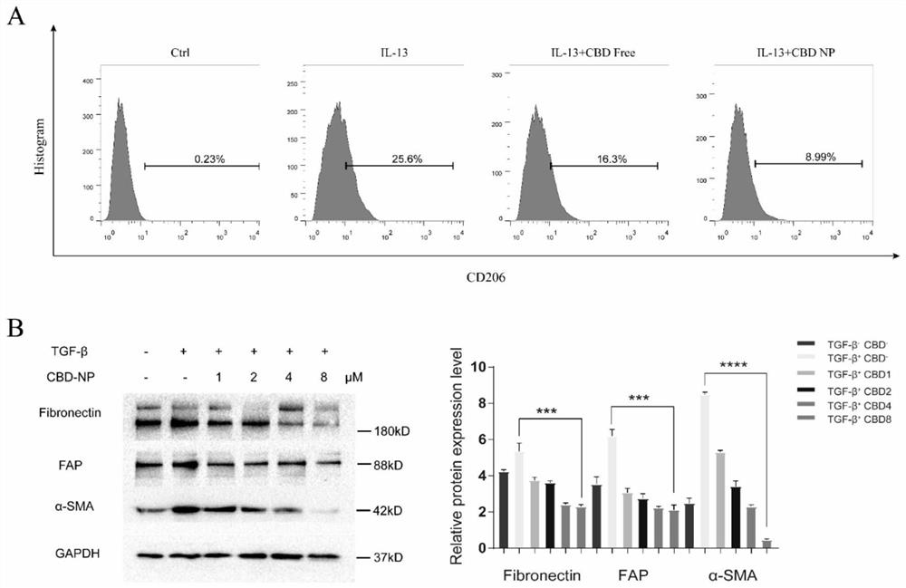 Low-toxicity bionic nano system capable of simultaneously regulating tumor microenvironment and killing tumor cells in targeted manner and construction method of low-toxicity bionic nano system