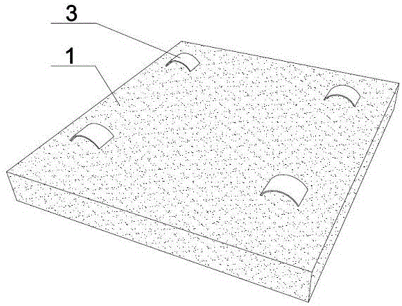 Diatom ooze decoration product for improving indoor environment