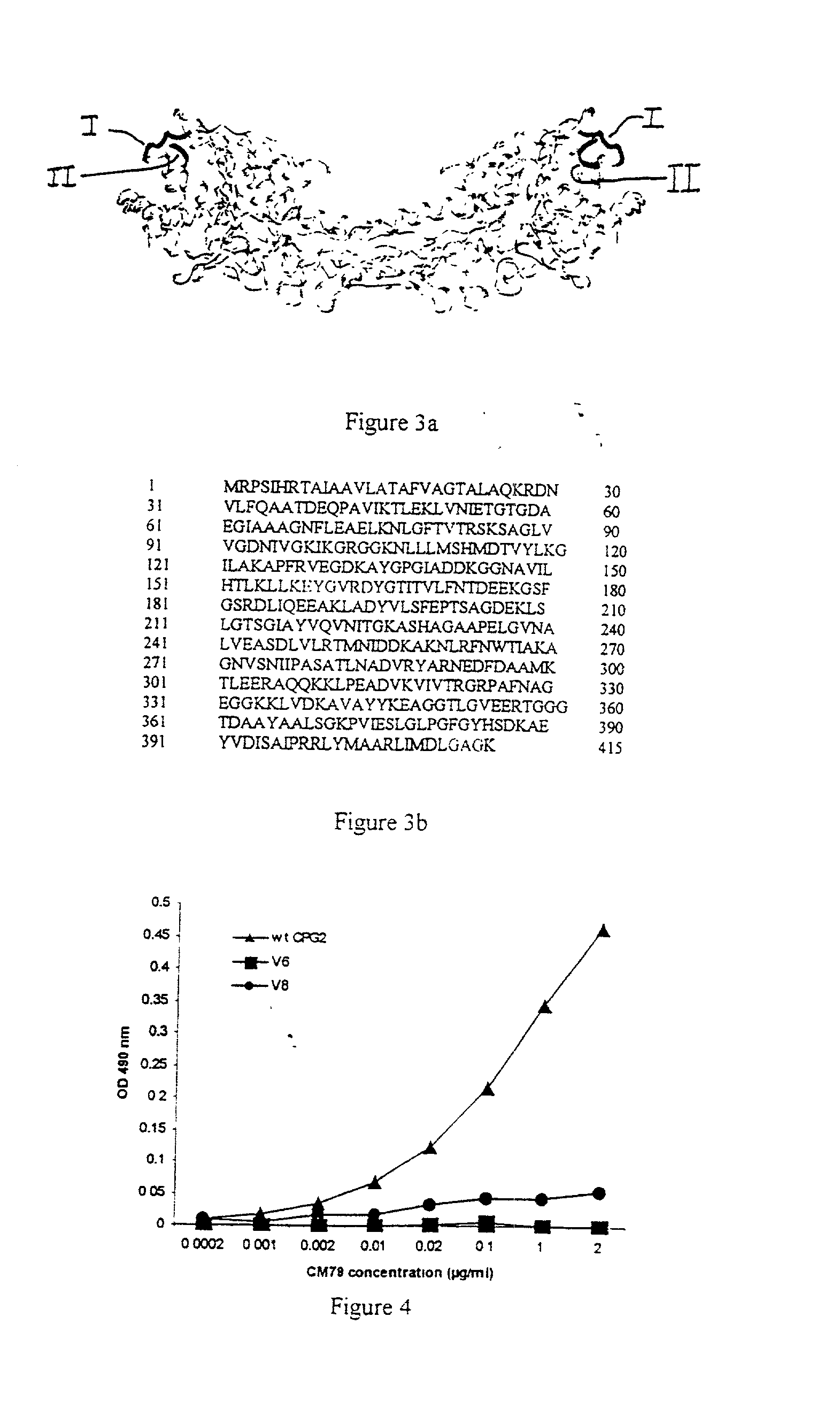 Modifided carboxypeptidase enzymes and their use