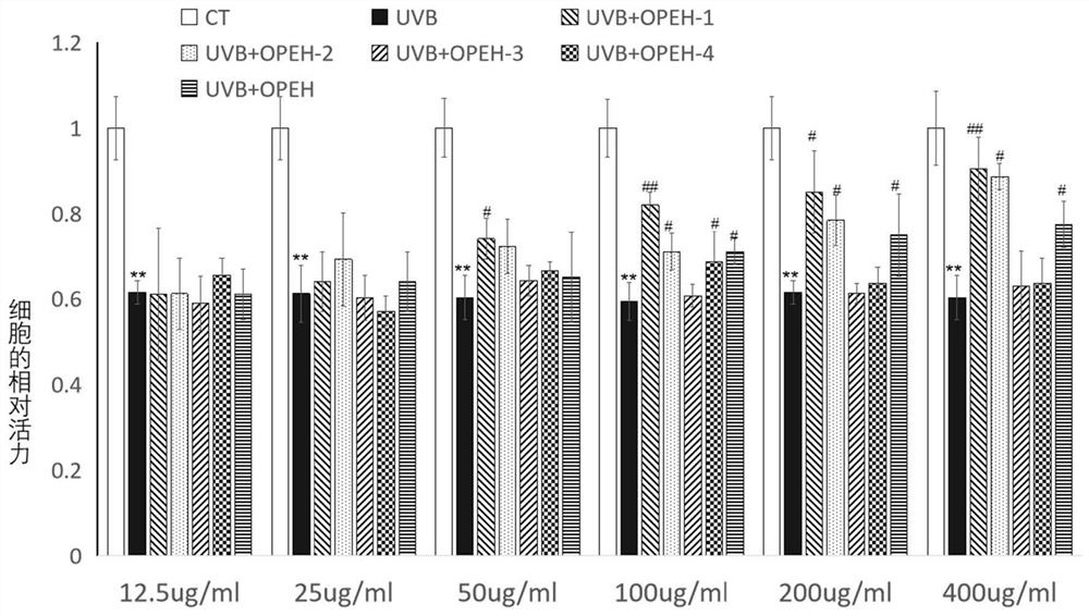 Oyster protein source anti-skin photoaging octapeptide, and preparation method and application thereof