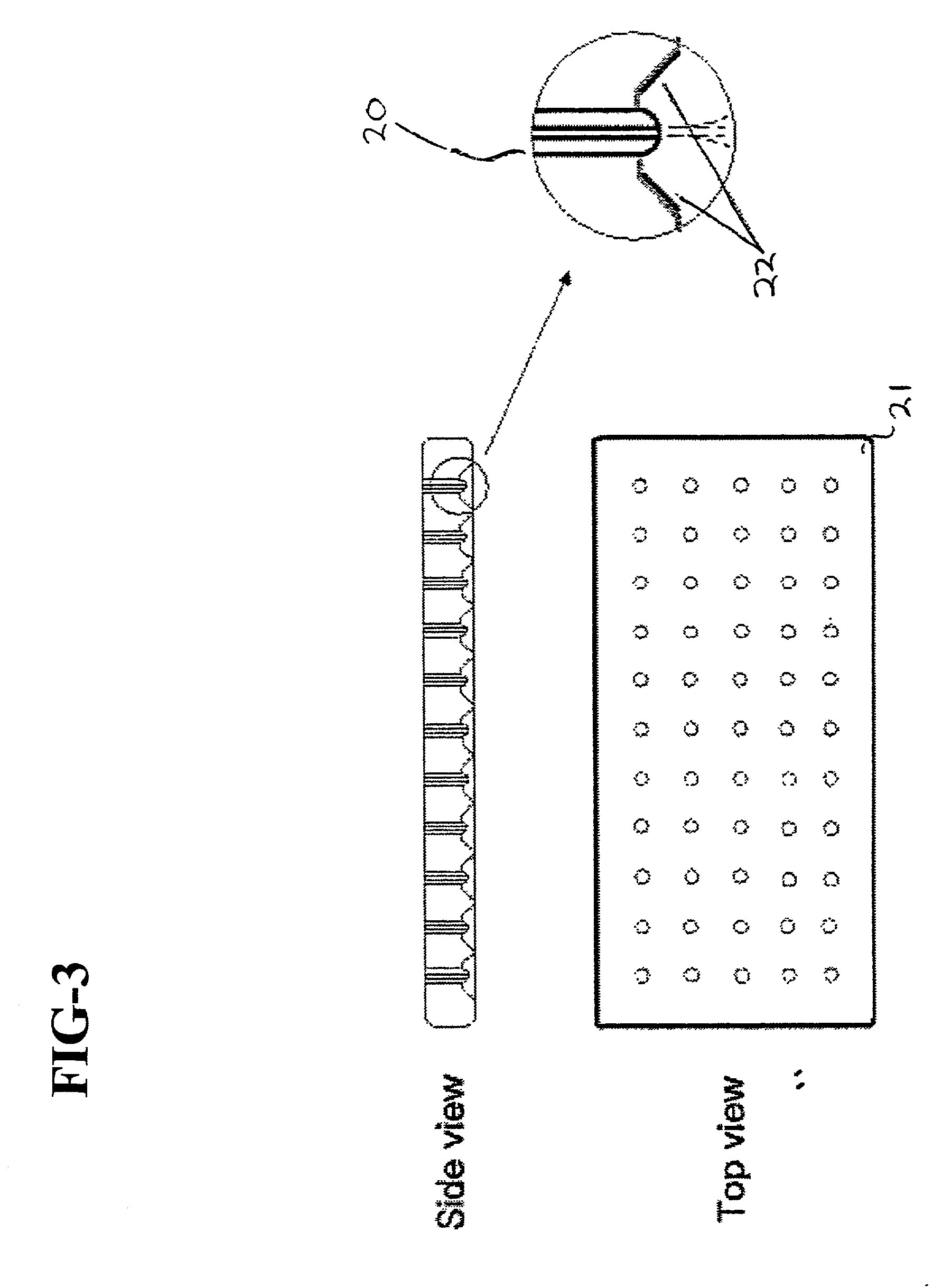 Cell storage and delivery system