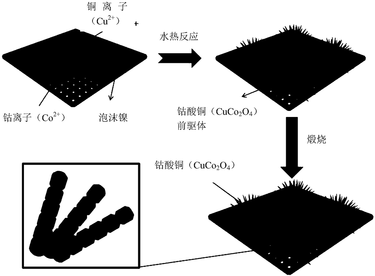Preparation method of sea-urchin-shaped cobalt acid copper nanometer material of nickel foam load