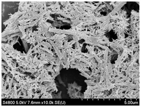 Catalyst for isodewaxing hydrocracking tail oil and preparation method thereof