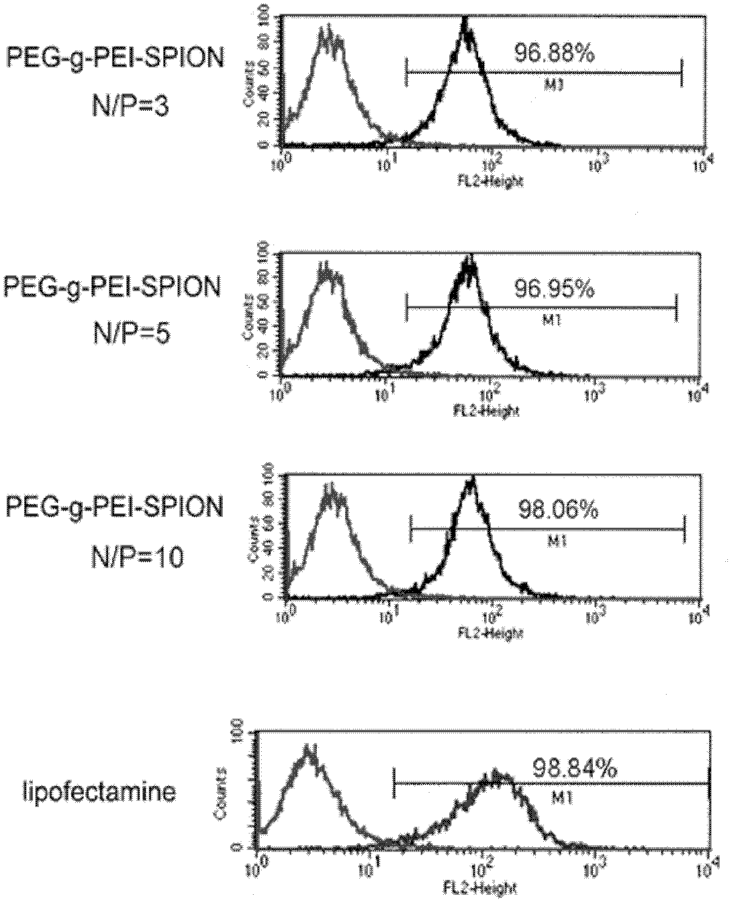 siRNA conveying carrier and application thereof