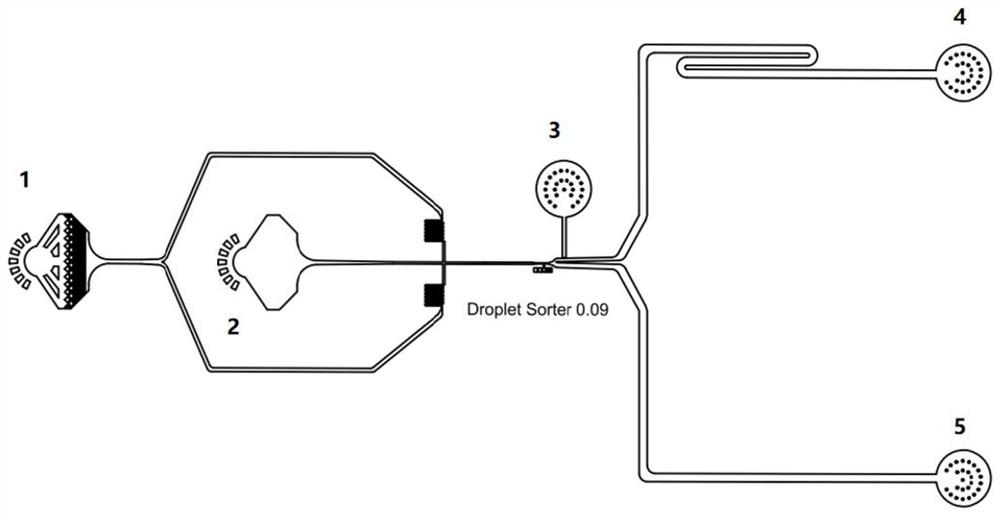 Single cell separation system and method based on droplet microfluidics