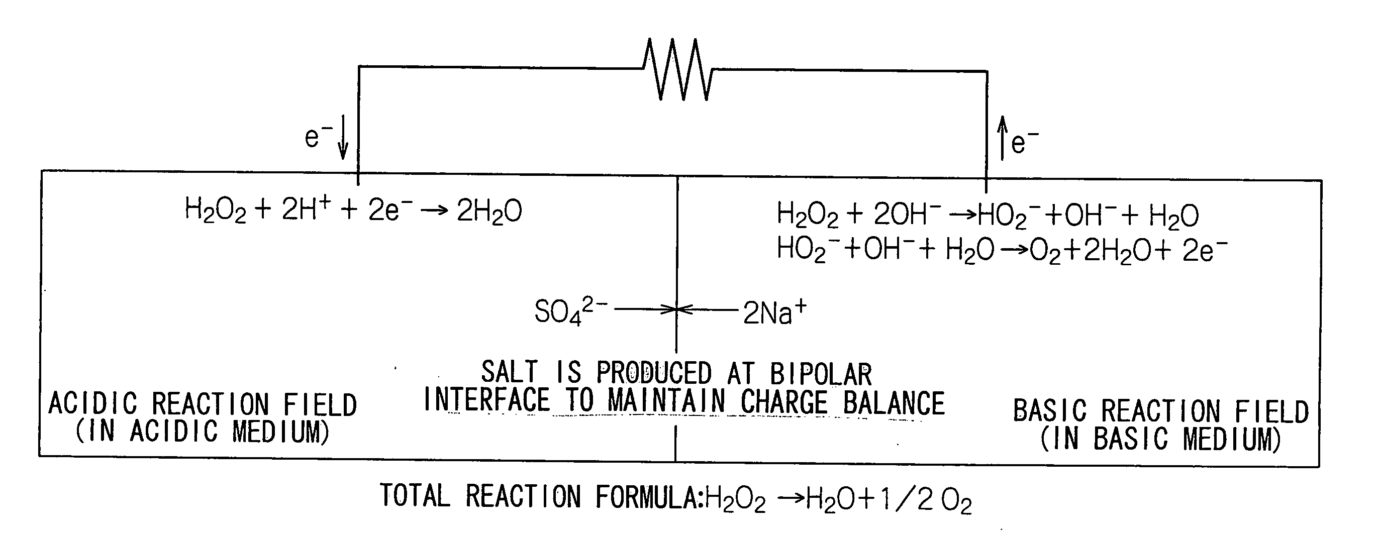 Water-activated cell and method of power generation