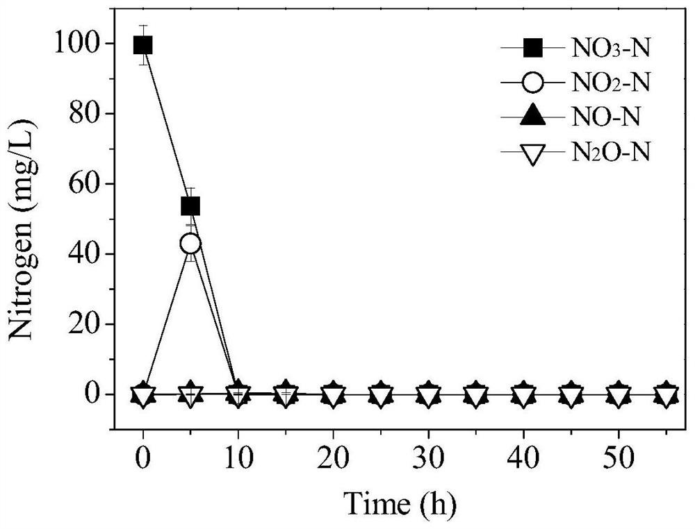 An Achromobacter strain resistant to the toxicity of sulfonamide antibiotics and its application