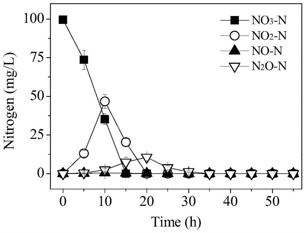 An Achromobacter strain resistant to the toxicity of sulfonamide antibiotics and its application