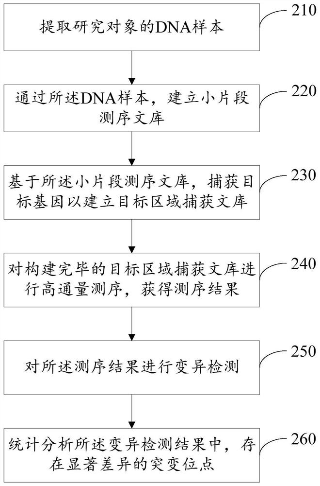 Polygene molecular diagnosis model as well as a construction method and application thereof