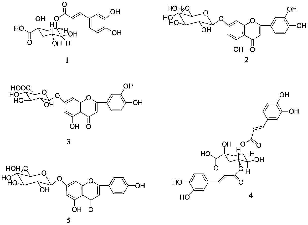 Method for simultaneously determining content of five chemical components in chrysanthemum medicinal materials