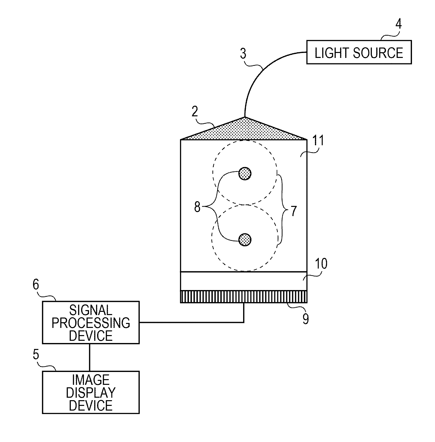 Acoustic wave measuring system and method of generating image data thereof