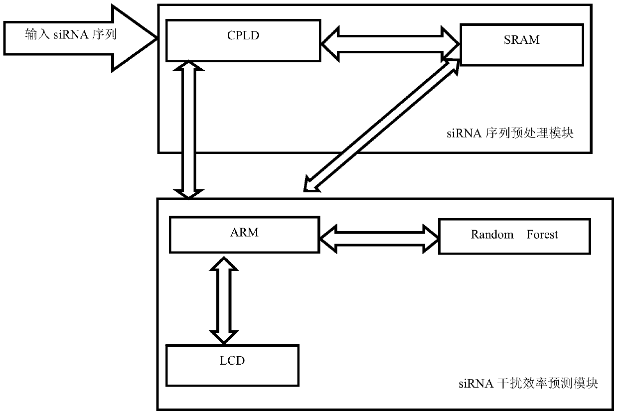 Research and development method of siRNA for COVID-19 virus drug therapy