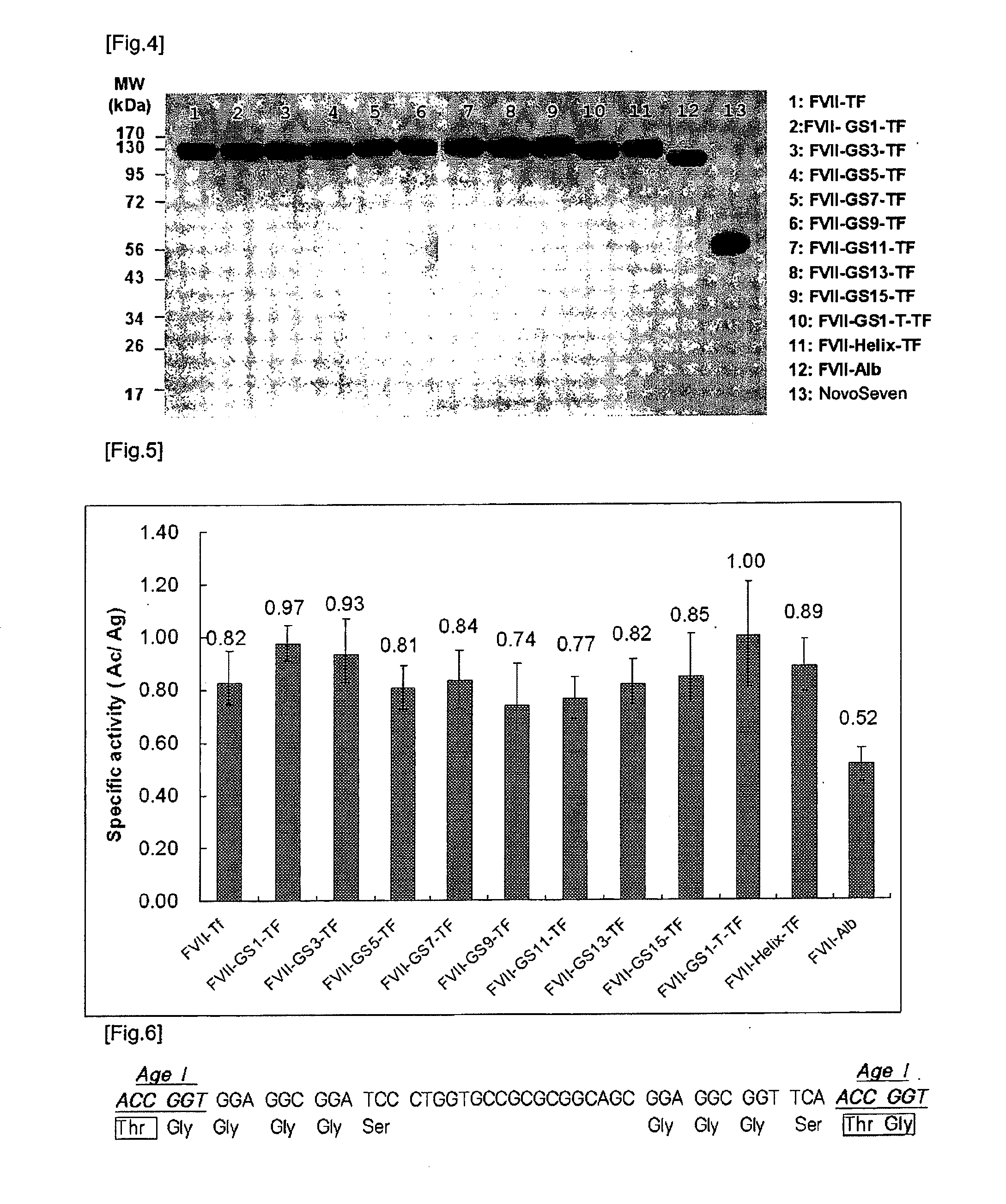 Fusion protein havingh factor vii activity