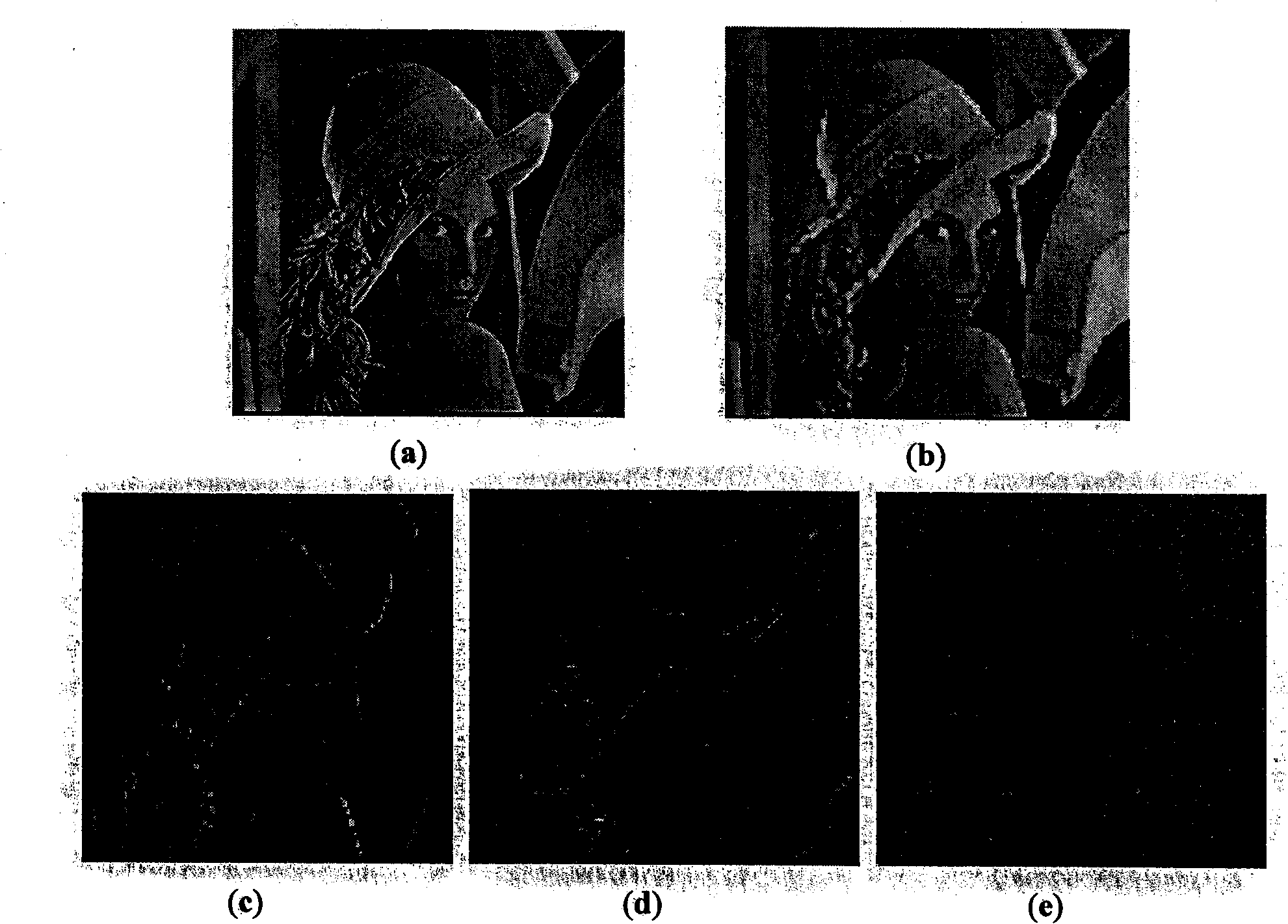 Watershed texture imaging segmenting method based on morphology Haar small wave texture gradient extraction