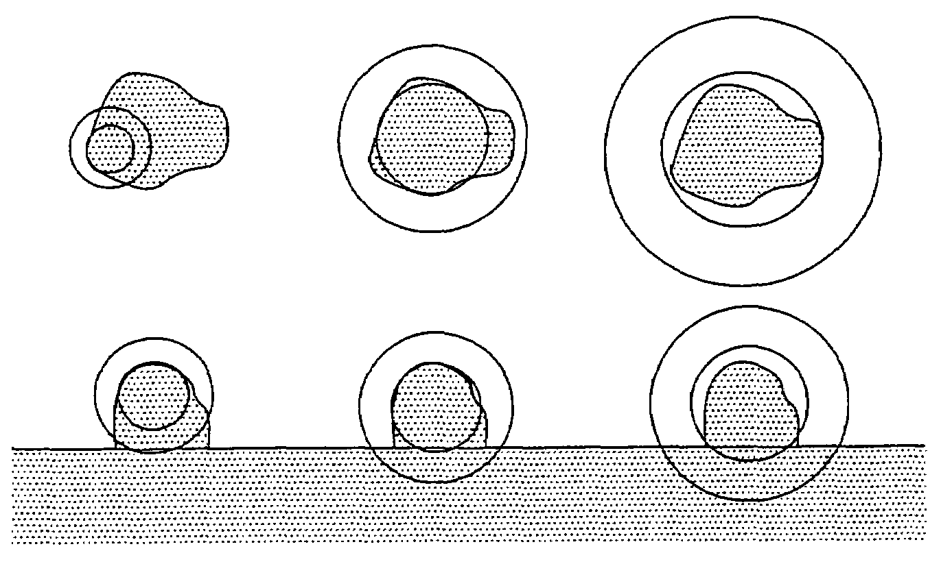 System, method and apparatus for small pulmonary nodule computer aided diagnosis from computed tomography scans