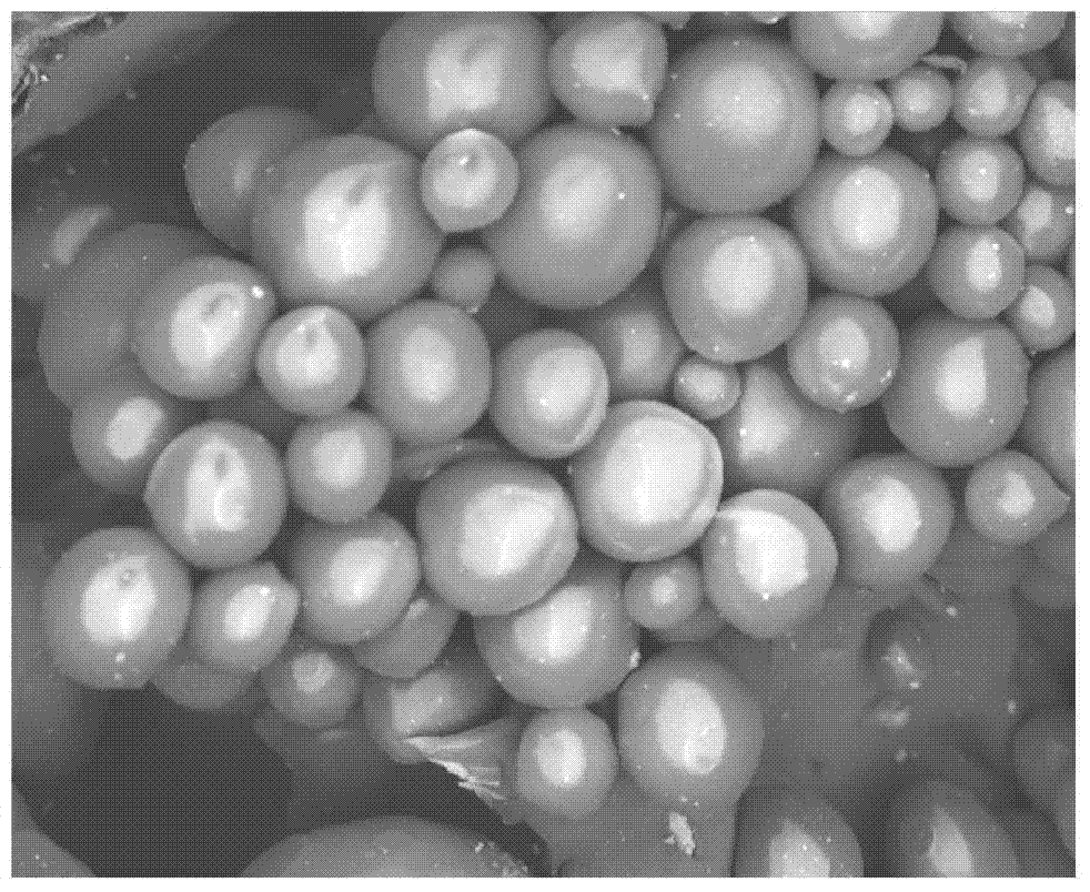 Chitosan and chitosan quaternary ammonium salt composite magnetic microsphere and preparation method thereof