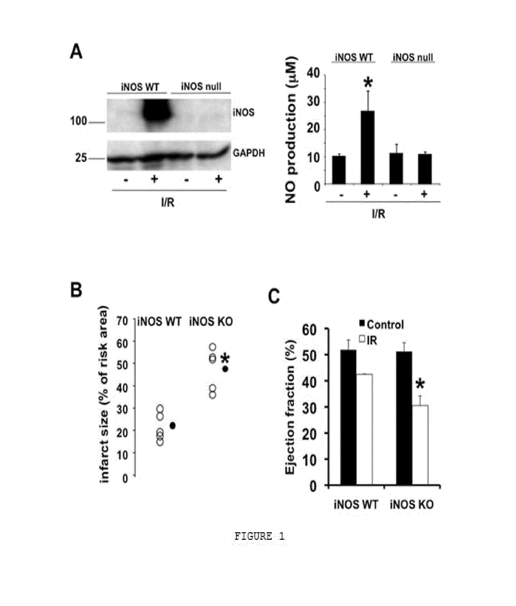 Compounds for treating cardiac damage after ischaemia/reperfusion