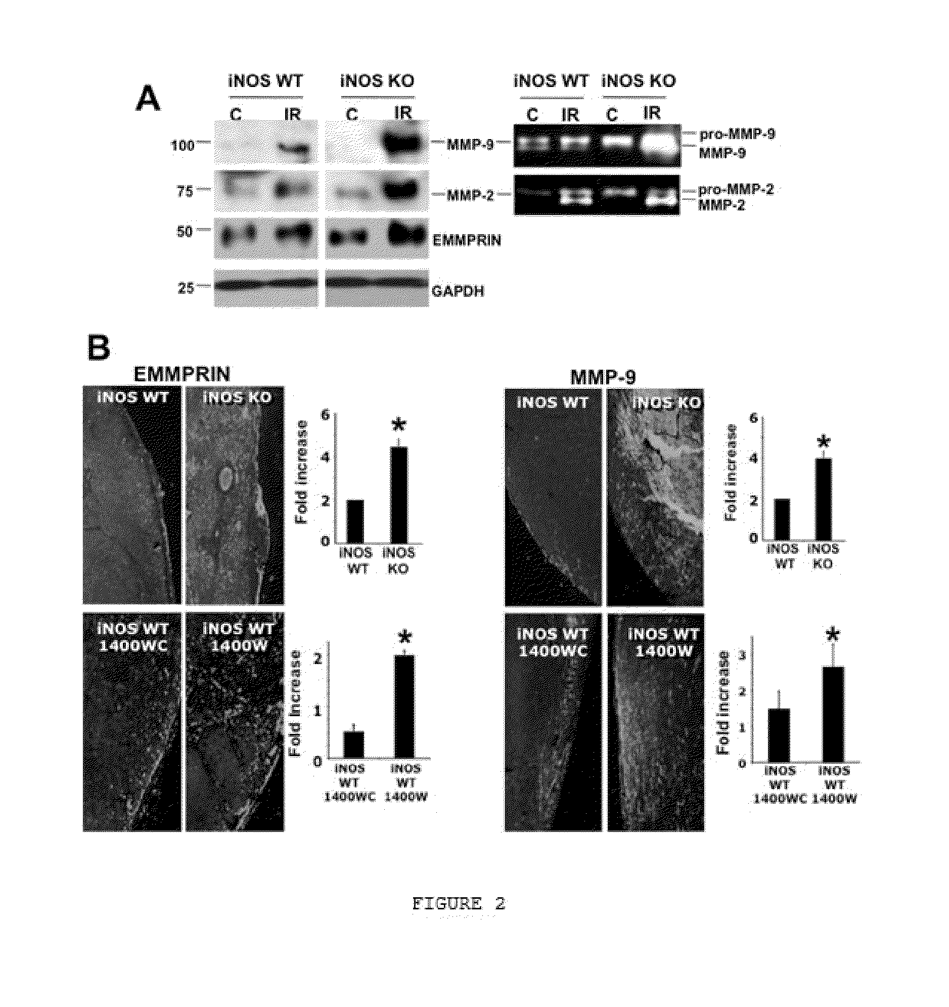 Compounds for treating cardiac damage after ischaemia/reperfusion