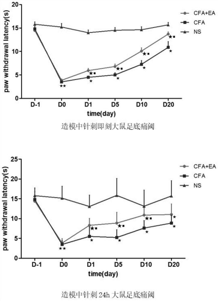 Acupuncture serum exosome as well as preparation method and application thereof