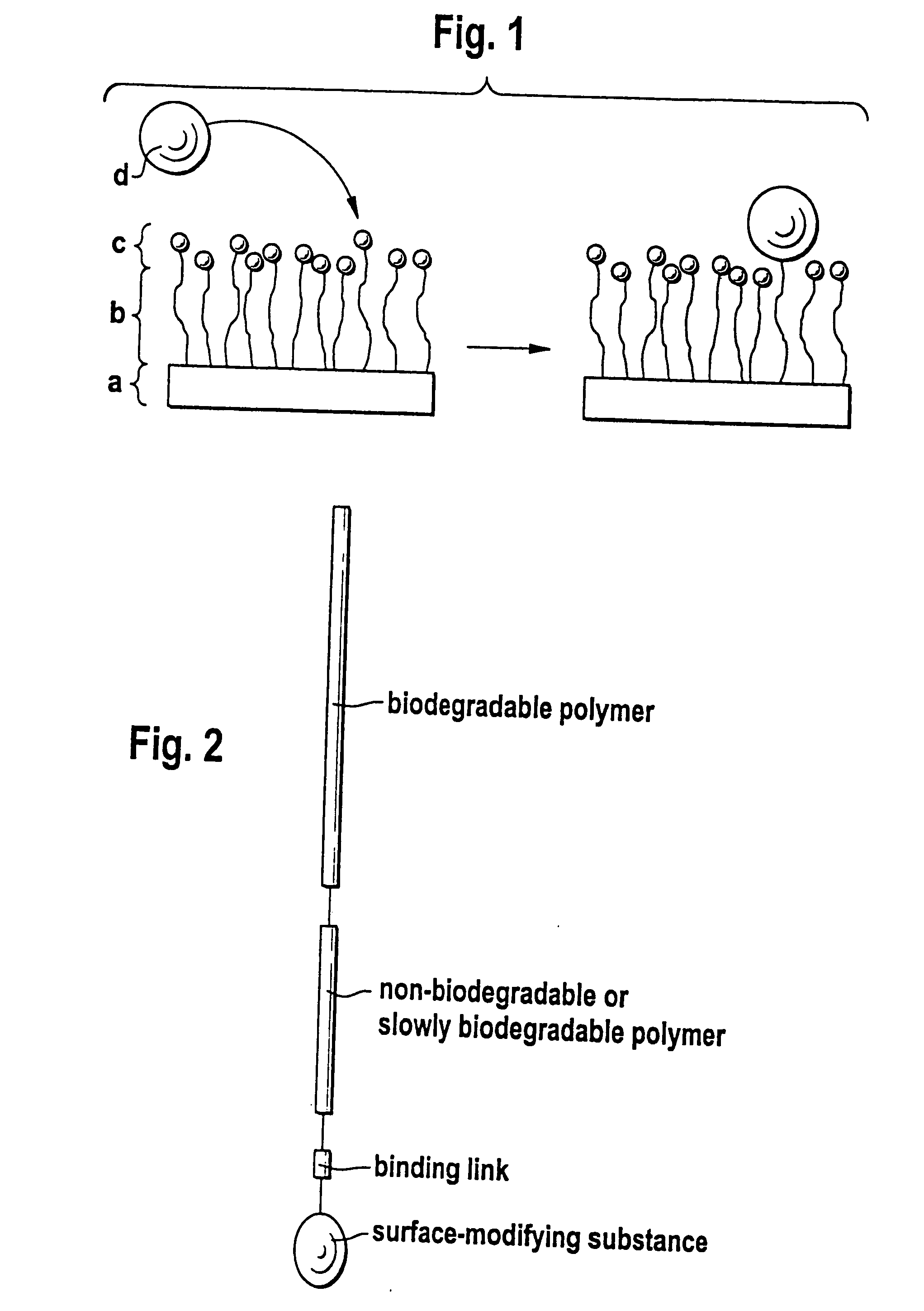 Biodegradable block copolymers with modifiable surface