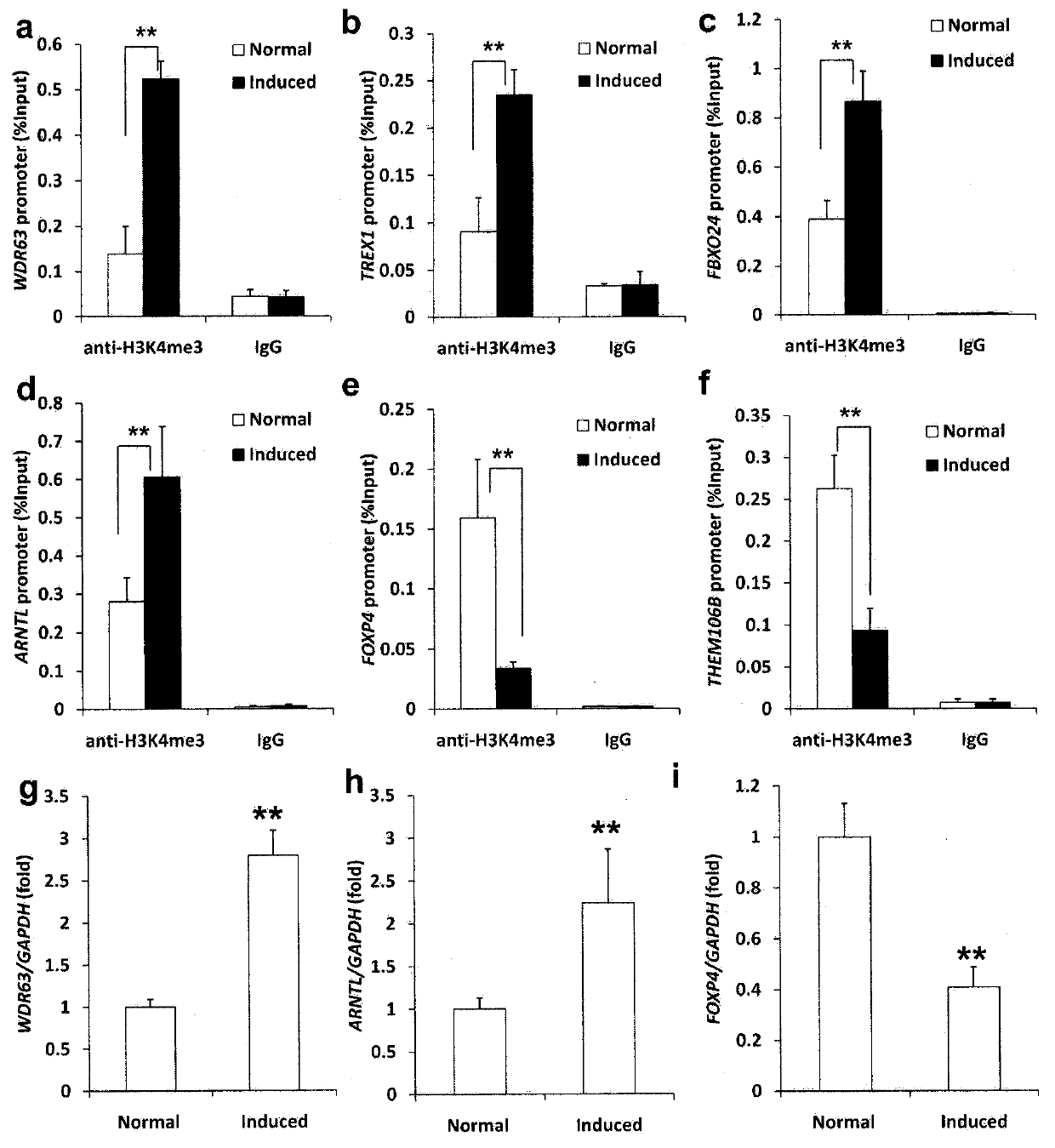 Regulation method of wdr63 gene in osteogenic and odontogenic differentiation of mesenchymal stem cells