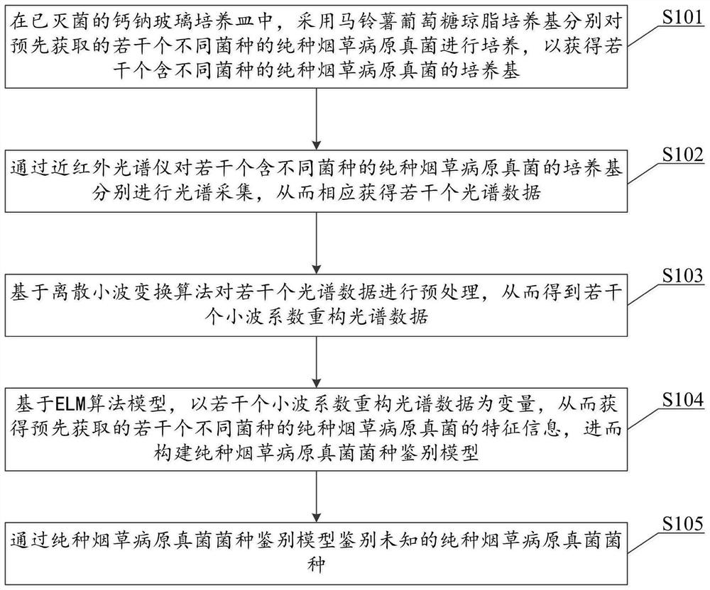 Tobacco pathogenic fungus type rapid identification method based on NIR technology and ELM