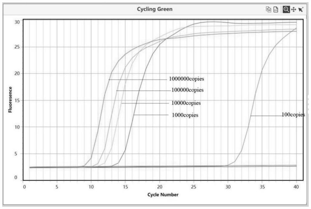 A primer set and detection kit for detecting new coronavirus based on rt-lamp technology