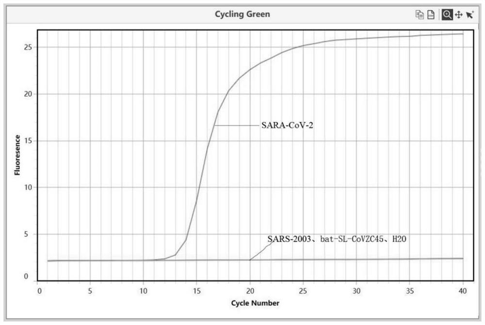 A primer set and detection kit for detecting new coronavirus based on rt-lamp technology