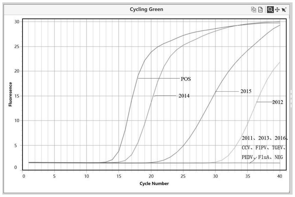 A primer set and detection kit for detecting new coronavirus based on rt-lamp technology