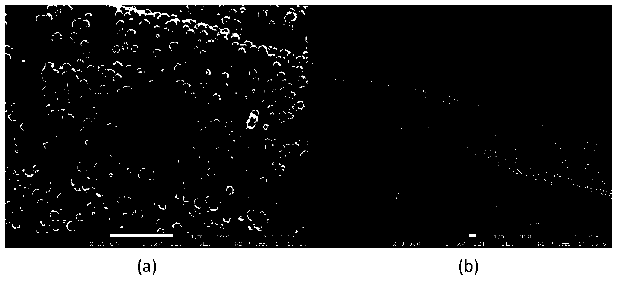 Sensitive electrode for direct electrochemical detection of ammonia nitrogen in water and preparation method of sensitive electrode